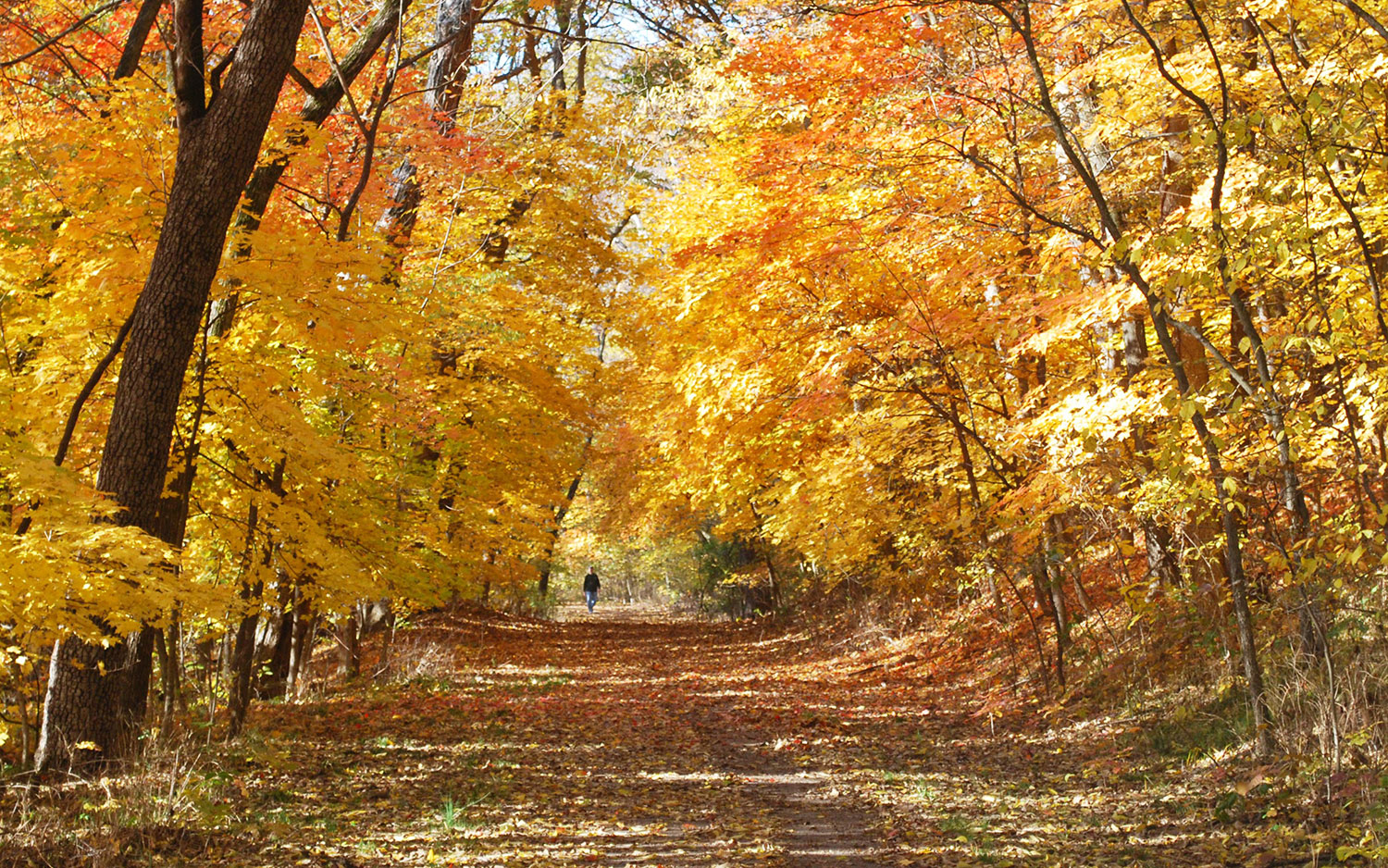 Visit Platte County, MO Guide to Platte County Sights and Events